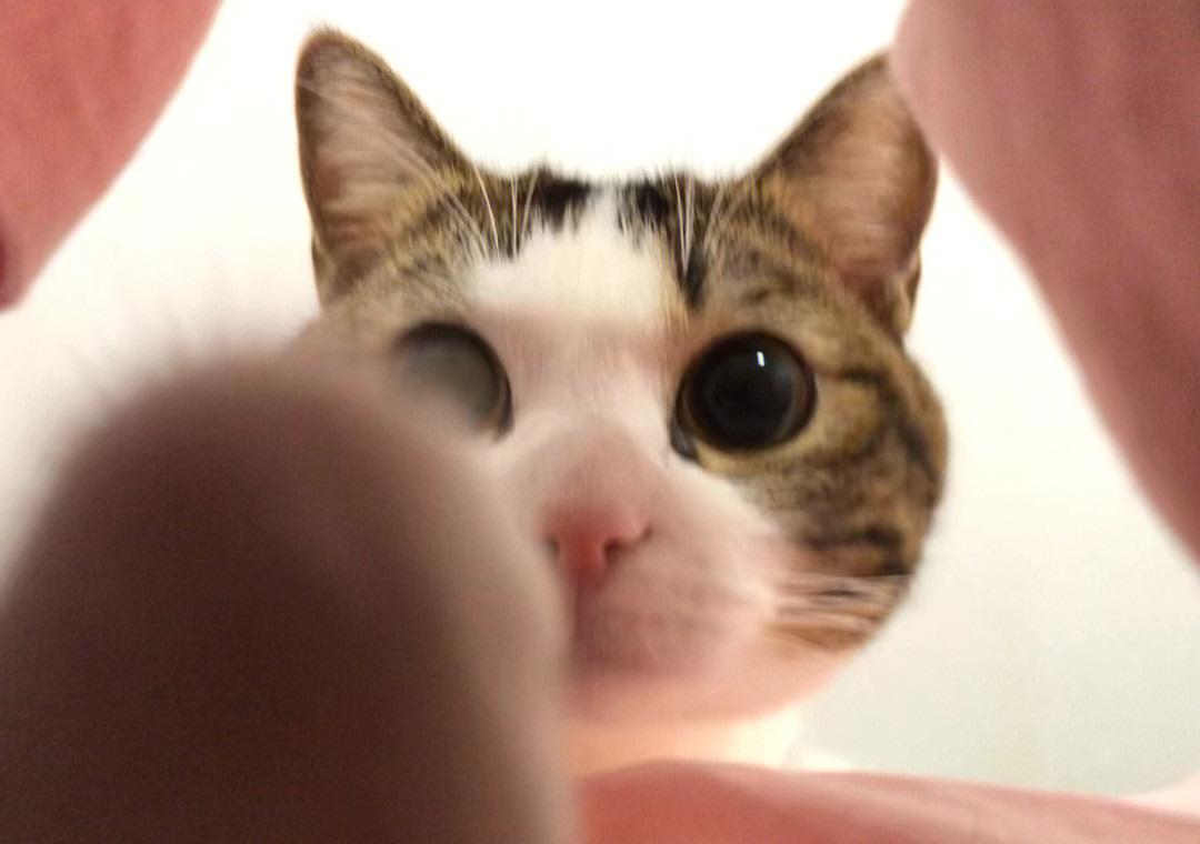 src-TVRZNMTY4MzcxMDczMwaHR0cDovL3NhZmUtaW1nLnhoc2Nkbi5jb20vYncxLzkyZTFhNGZhLTYzOGMtNDMxYy1hNmNlLWY5MTE1OGNmZDk5Mj9pbWFnZVZpZXcyLzIvdy8xMDgwL2Zvcm1hdC9qcGc=.jpg
