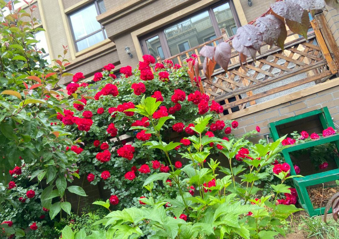 最终幻8疯狂至极，眼花缭乱！