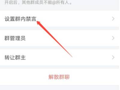 设置禁言怎么进入qq视频聊天_telegram怎么静音_telegram怎么设置禁言