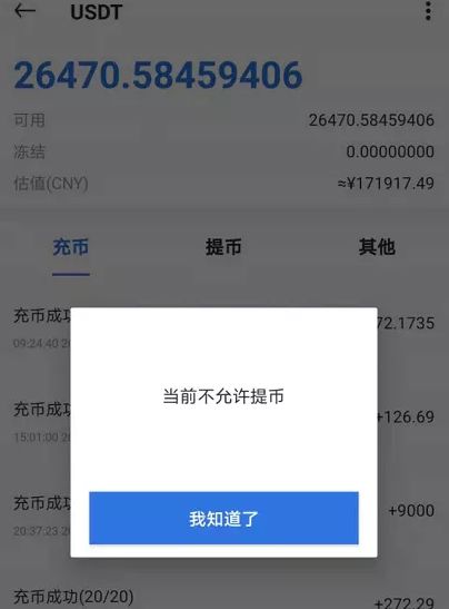 钱包币是啥_tp钱包里的币不见了_币的钱包是什么意思