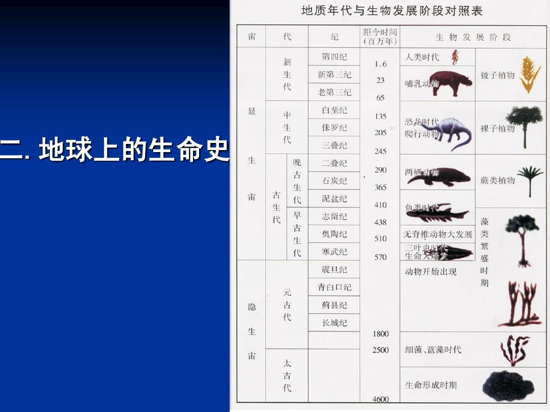 生物进化史游戏中文版_生物进化史游戏下载手机版_我想看生物进化