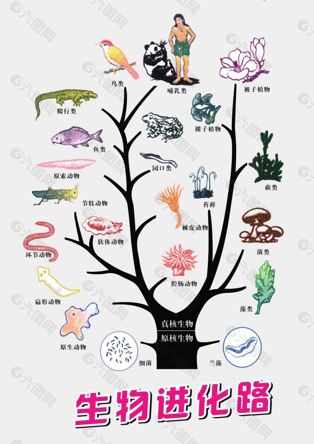 我想看生物进化_生物进化史游戏下载手机版_生物进化史游戏中文版