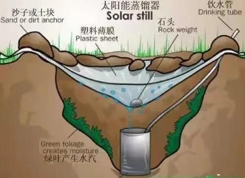 单机生存手机游戏有哪些_手机版单机生存游戏_单机生存版手机游戏大全