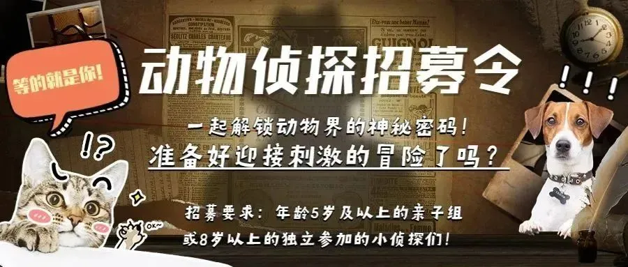 地下11楼的森崎_地下11楼的森崎人没了_地下11楼的森崎长什么样