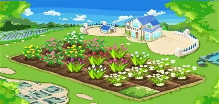 种菜游戏手机性价比_种菜类的手机游戏_最新种菜游戏
