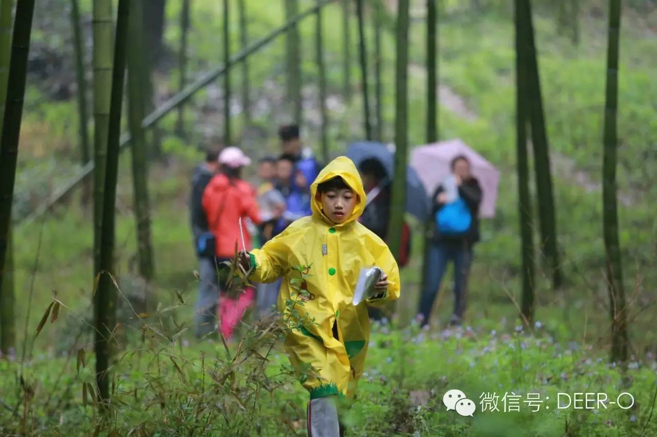 定向越野手机游戏怎么玩_手机越野定向游戏_定向越野游戏app