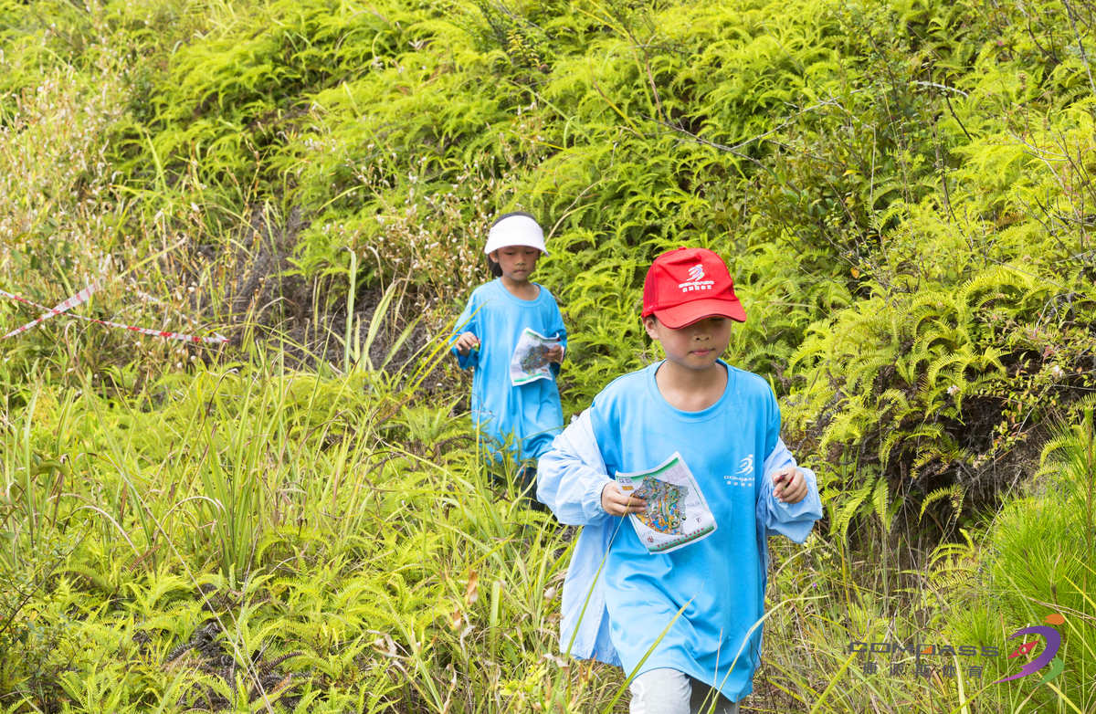 定向越野手机游戏怎么玩_定向越野游戏app_手机越野定向游戏