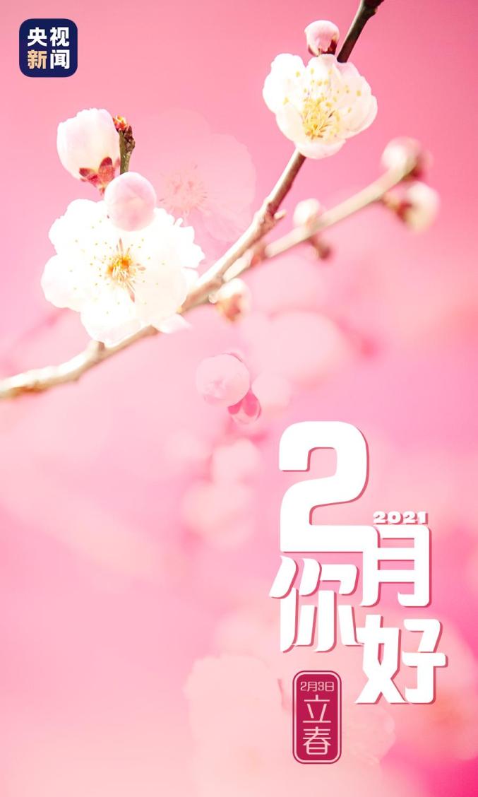 二月初二_二月二十七_二月兰读后感