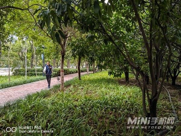 拍照游戏手机性价比最高_2021拍照游戏手机_拍照打游戏好的旗舰版手机