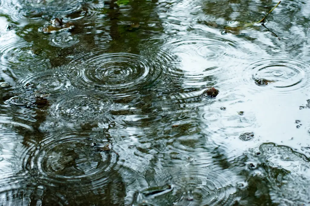 手机上能玩的雨景游戏下载_下雨场景的手游_关于雨的手机游戏