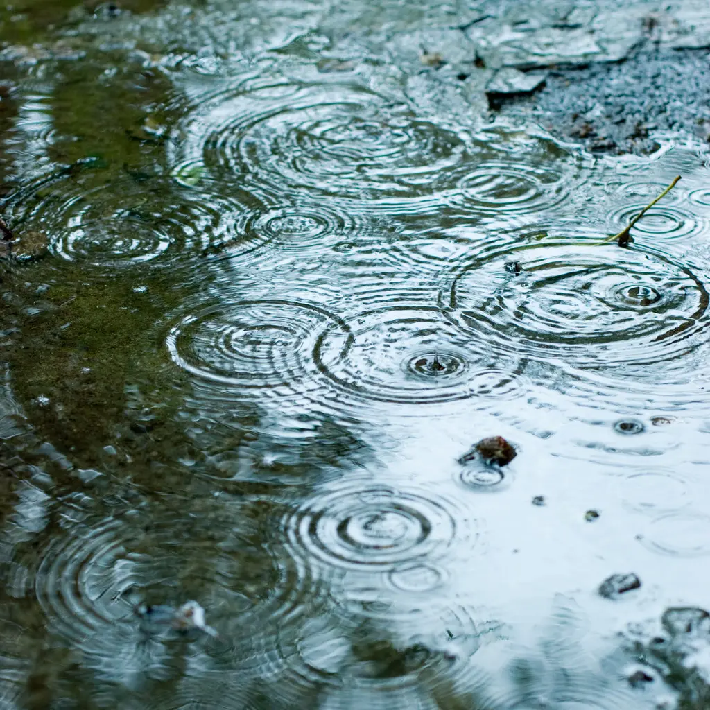 手机上能玩的雨景游戏下载_关于雨的手机游戏_下雨场景的手游