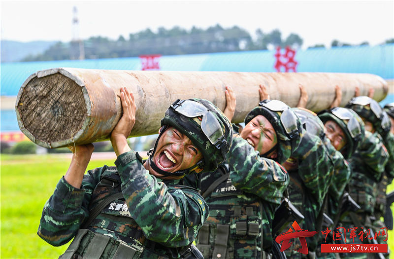 军事指挥手游_手机指挥军队的游戏_指挥士兵的游戏