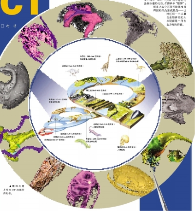 生物实验室游戏下载手机版_生物实验室模拟器_生物实验室室内设计