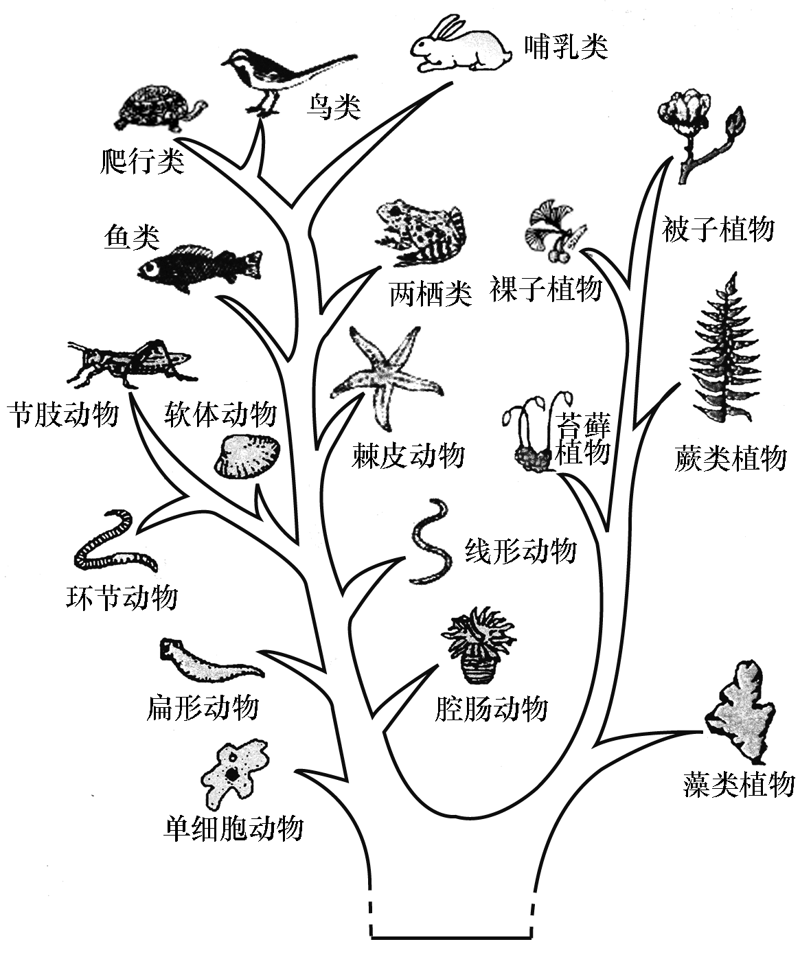 生物实验室模拟器_生物实验室游戏下载手机版_生物实验室室内设计