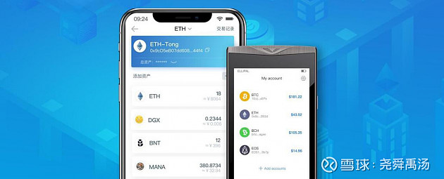 imtoken是哪个公司开发的-imToken：数字资产投资