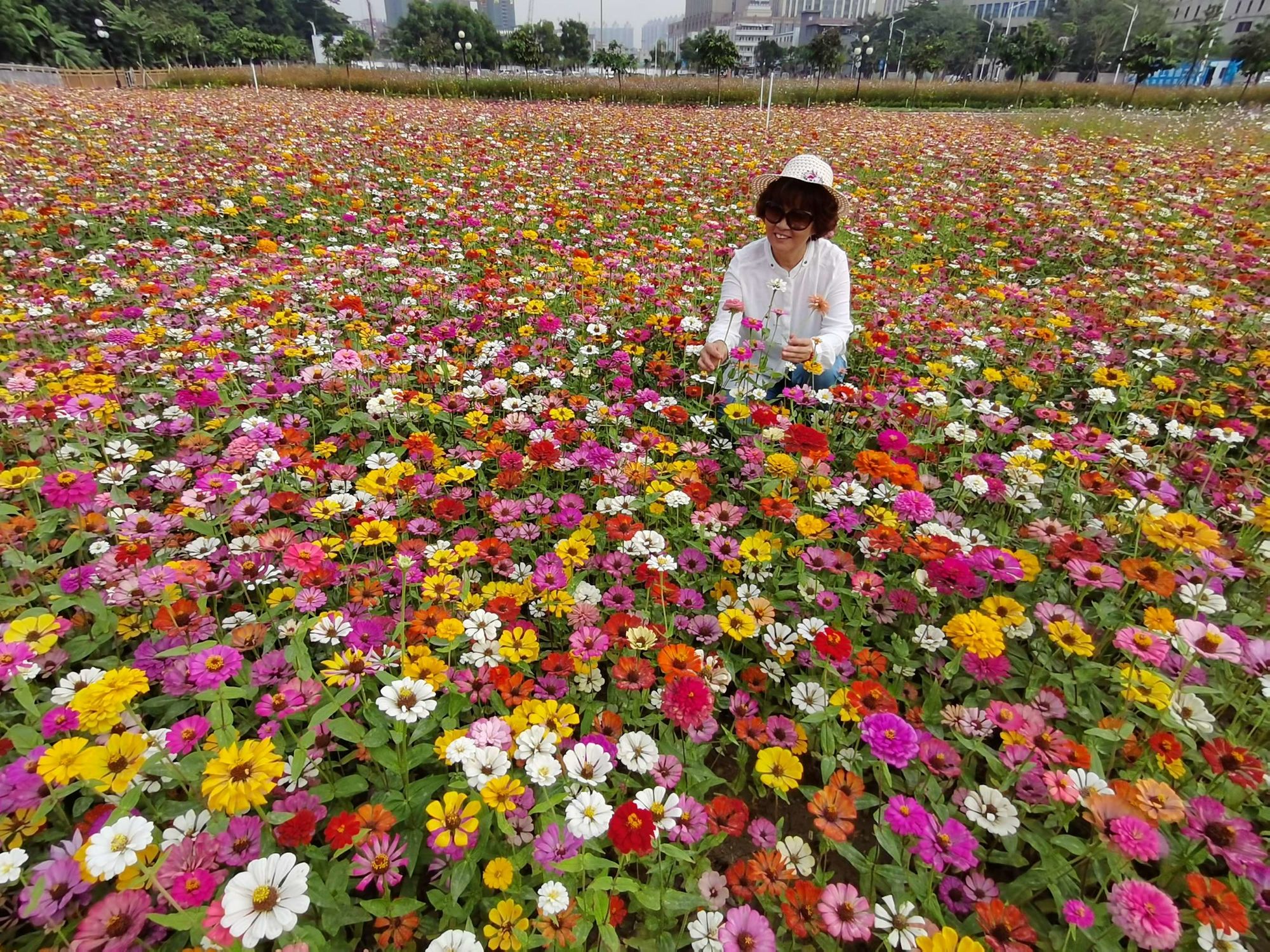 花神诞祭_花神_花神是谁