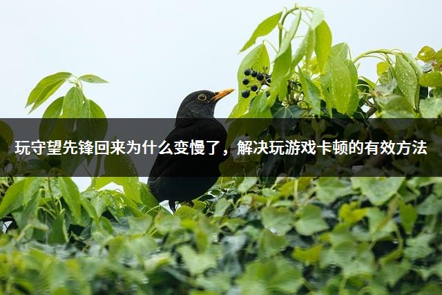 苹果玩红白机_苹果手机下载红白游戏闪退_红白游戏合集安卓版