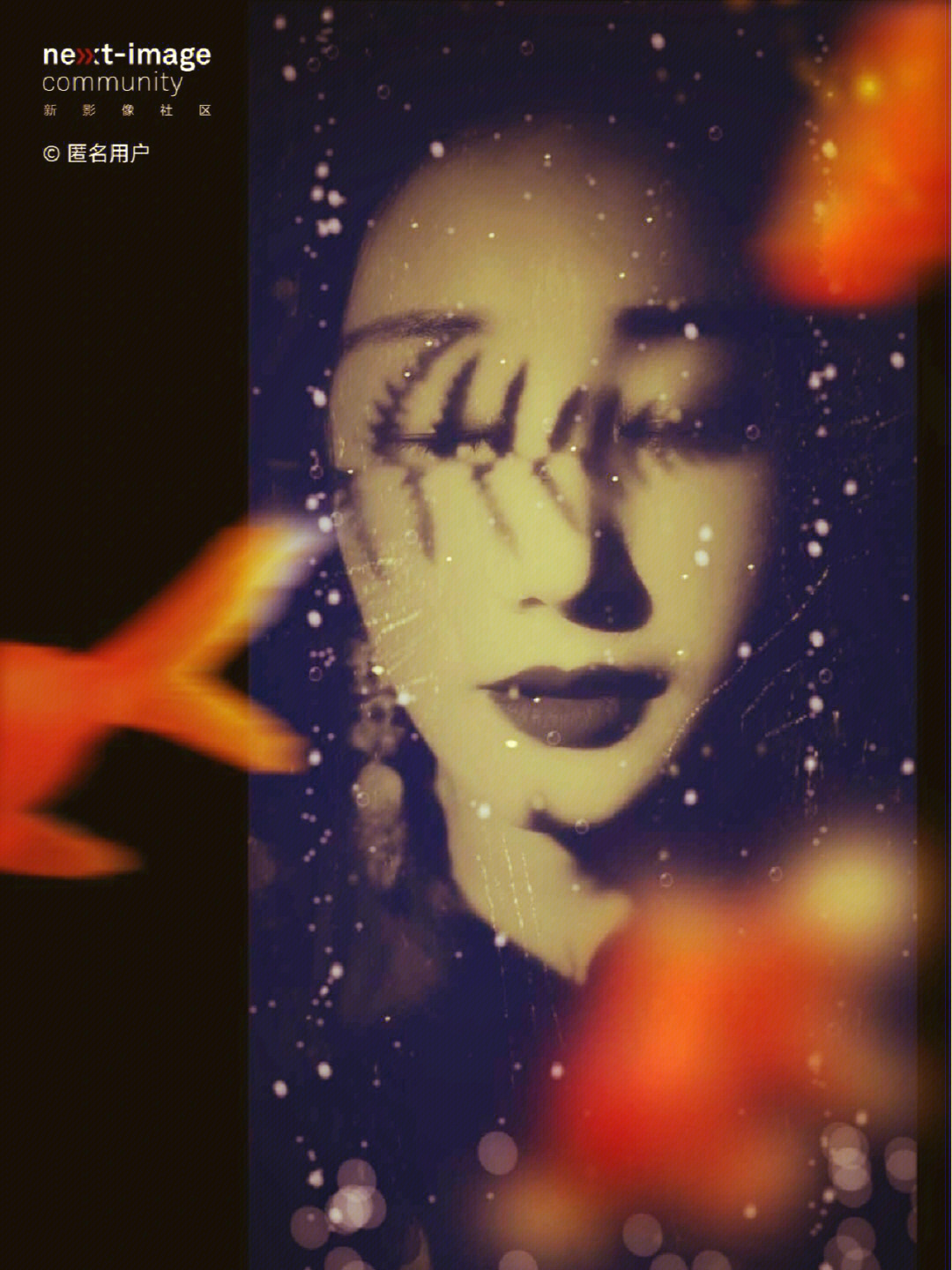 哈利波特卢娜和谁结婚了_卢娜_哈利波特卢娜魔杖