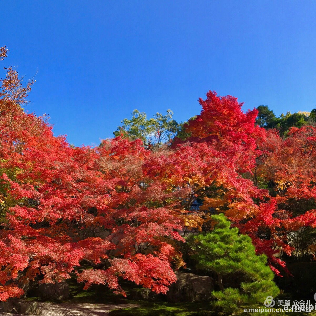 花枫_七关枫花重口_七咲枫花浴室