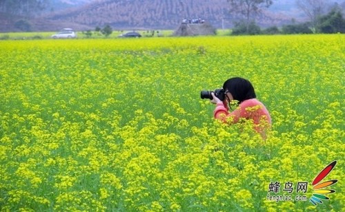 踏青的时候是什么季节_踏青是在春天吗_踏青是什么时候