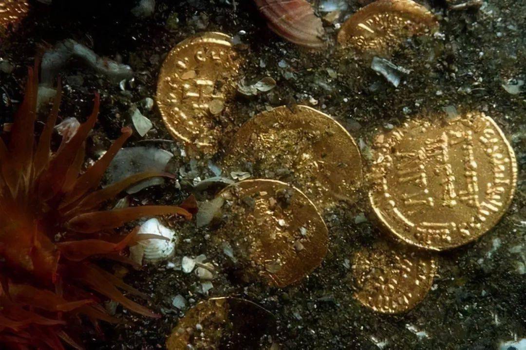 深海色值得练吗_深海色带鱼和吉原悠一分手_深海色