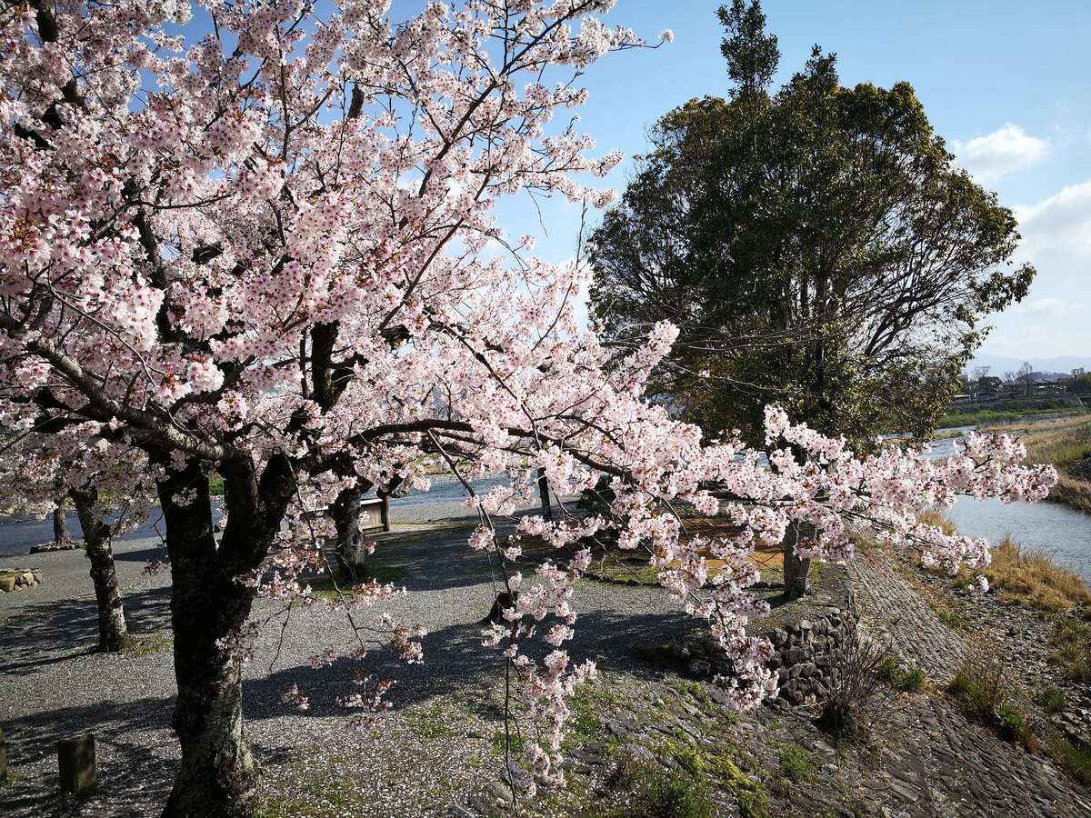 五十岚夏_五十岚夏_五十岚夏