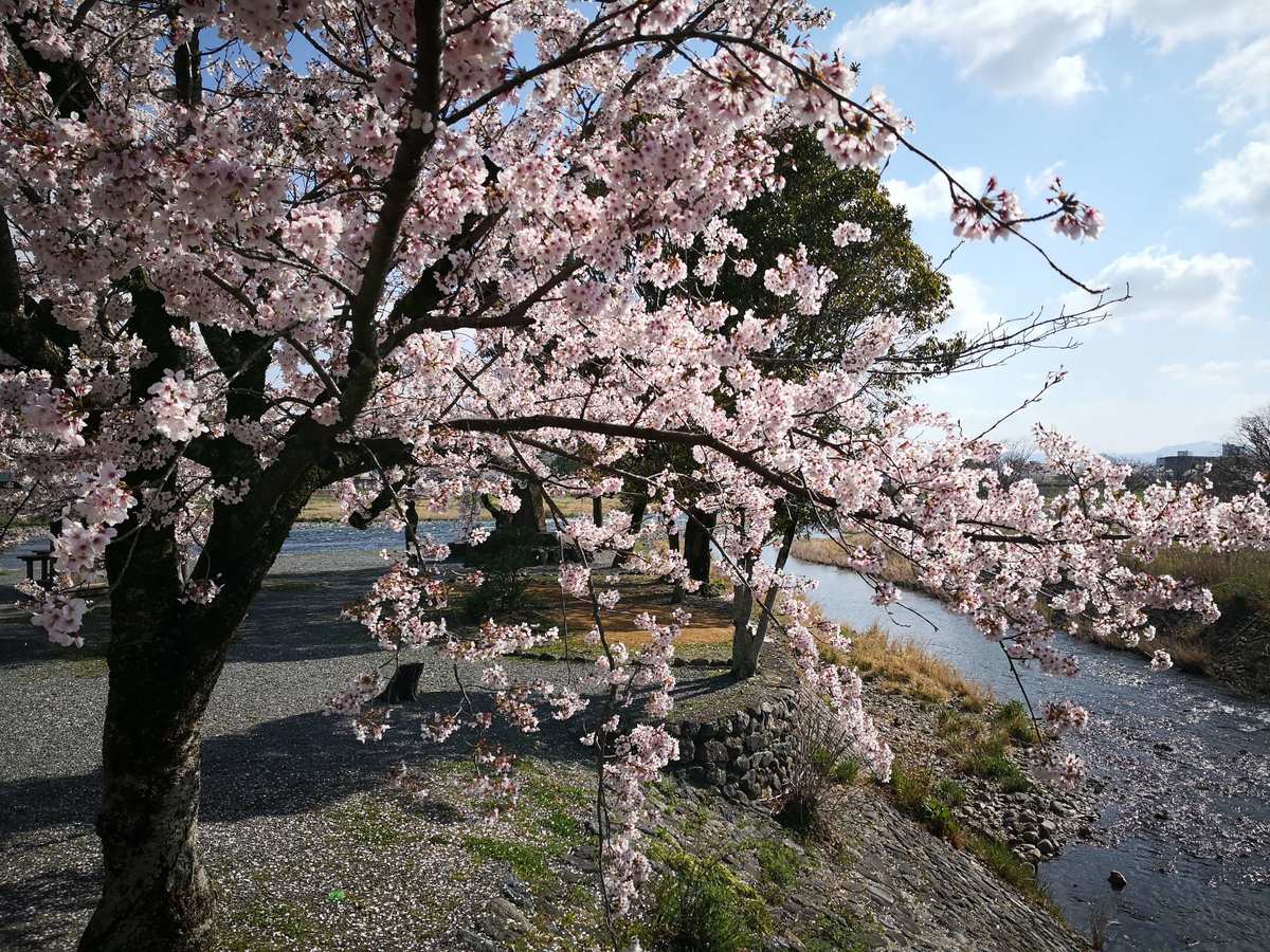 五十岚夏_五十岚夏_五十岚夏