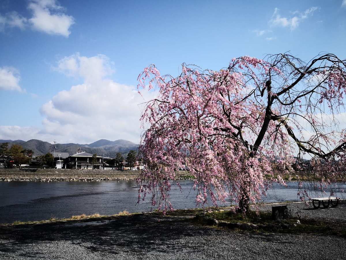 五十岚夏_五十岚夏_五十岚夏