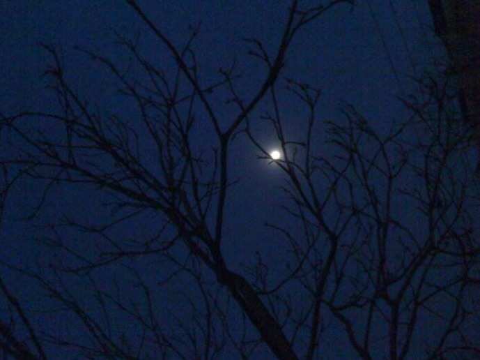 胧夜_夜胧直播_夜胧烟雨