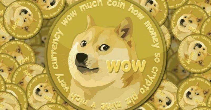 tp钱包使用教程怎么存狗狗币_钱包狗狗币_狗狗币钱包dogecoin