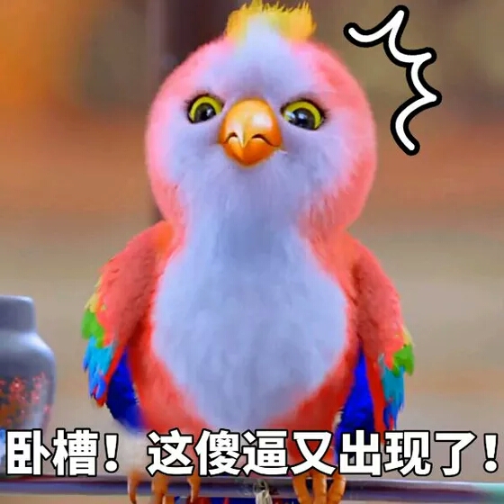 手机自带贱鸟游戏_手机自带贱鸟游戏_手机自带贱鸟游戏
