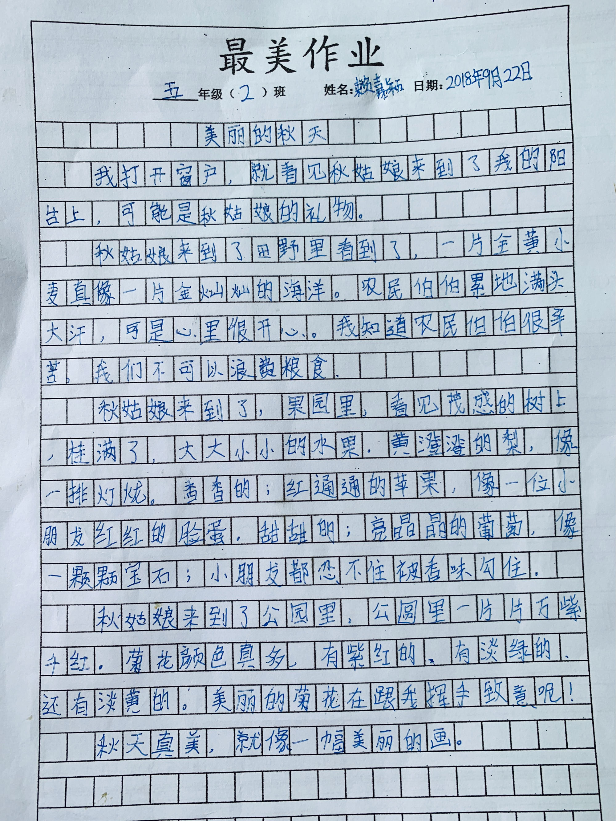 天兴洲大桥可以步行吗_优木杏树大桥步夕_大桥步夕