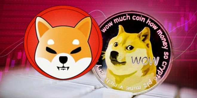 狗狗币钱包dogecoin_tp钱包狗狗币主网_狗狗币钱包官网