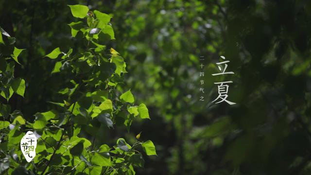 立夏的故事_立夏的故事_立夏的故事