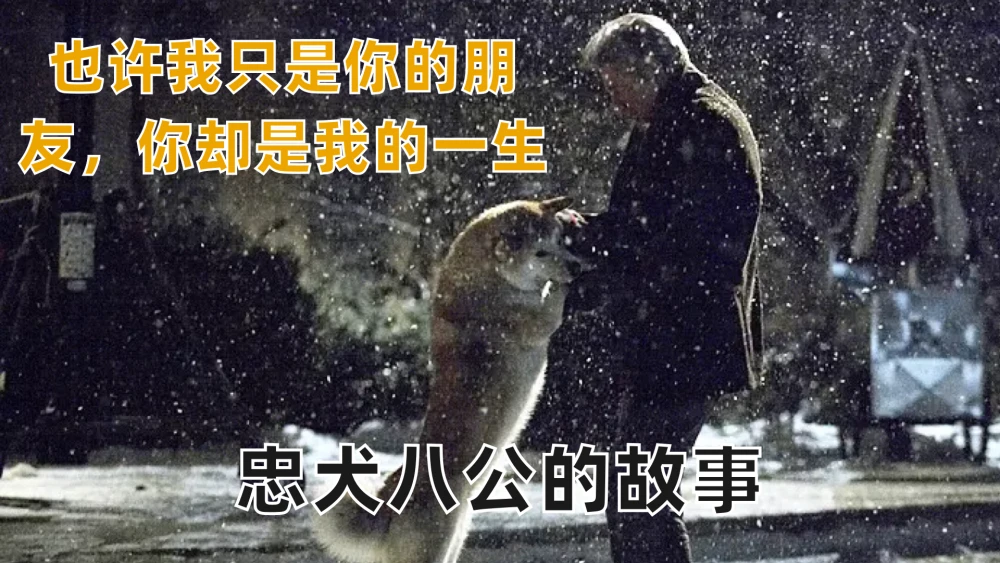 忠犬八公完整版国语版免费_忠犬八公在线观看完整版免费_忠犬八公的电影在线观看免费