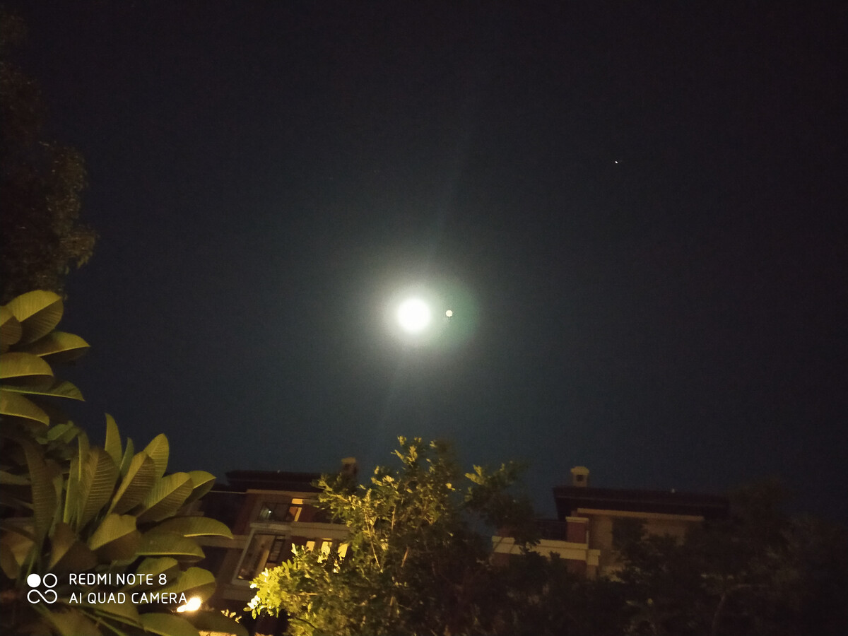 月隐空夜长啥样_月隐空夜_月隐空夜露过脸吗