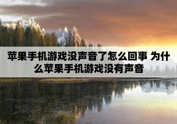 苹果手机有的游戏没声音_苹果手机其他有声音游戏没声音_苹果声音没手机游戏有声音吗