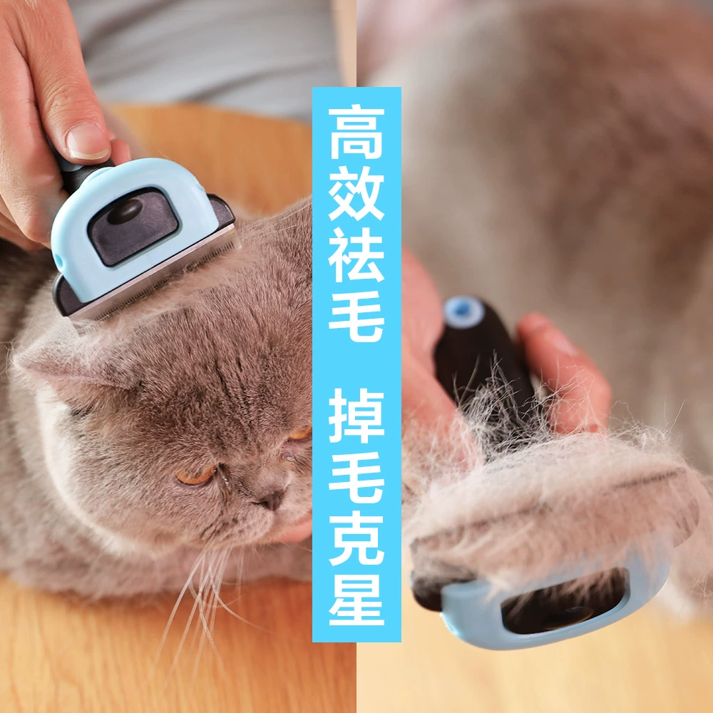 猫咪的意思怎么说_猫的意思是_修猫是什么意思