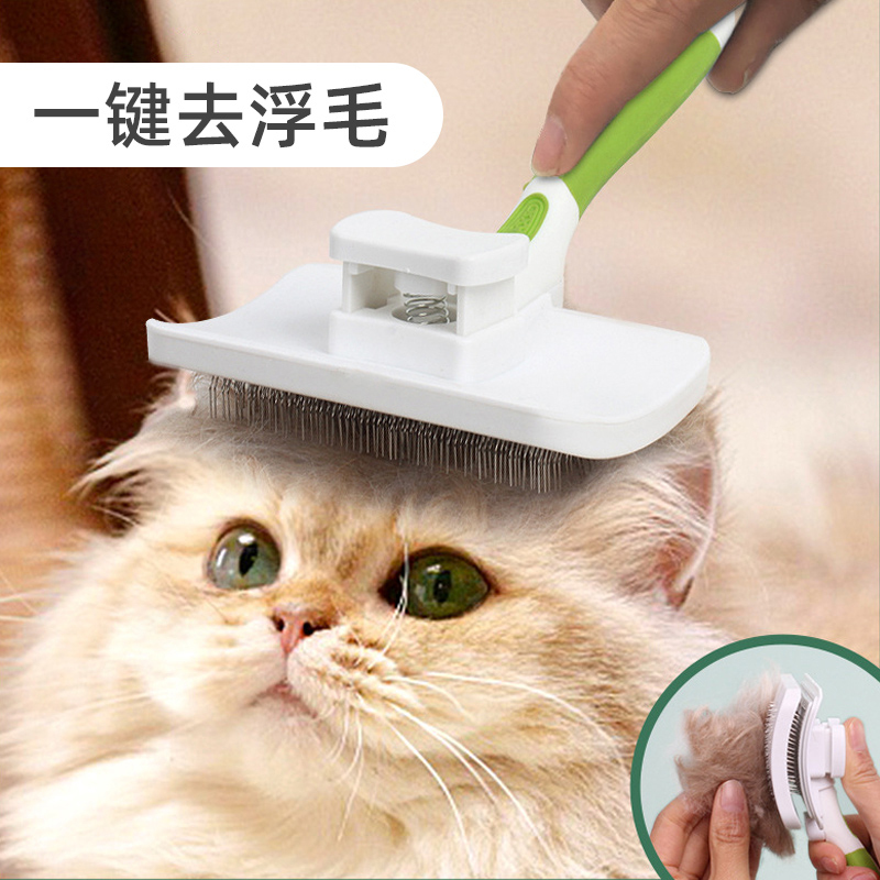 修猫是什么意思_猫的意思是_猫咪的意思怎么说