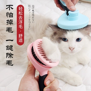 修猫是什么意思_猫的意思是_猫咪的意思怎么说