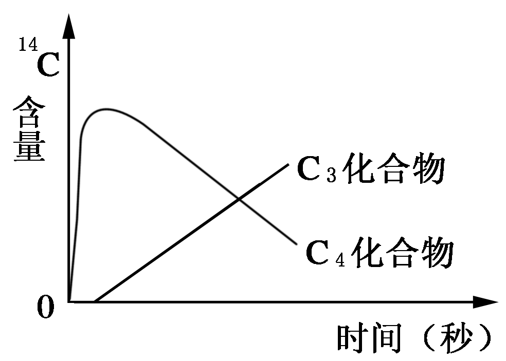 用法中用姜汁调服药物的方剂是_用法中需要噙化的方_tuple在python中的用法