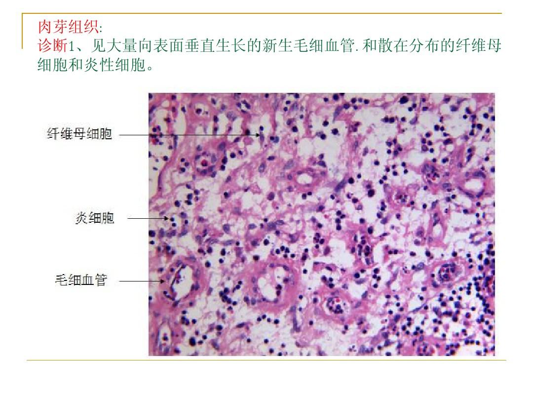 用法中用姜汁调服药物的方剂是_tuple在python中的用法_用法中需要噙化的方