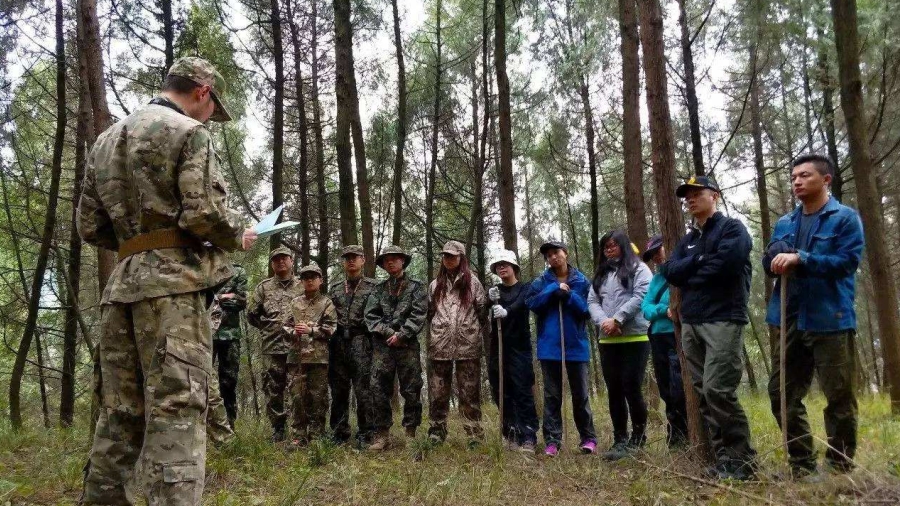 森林手游版下载链接_森林版手机游戏大全_森林手机版游戏