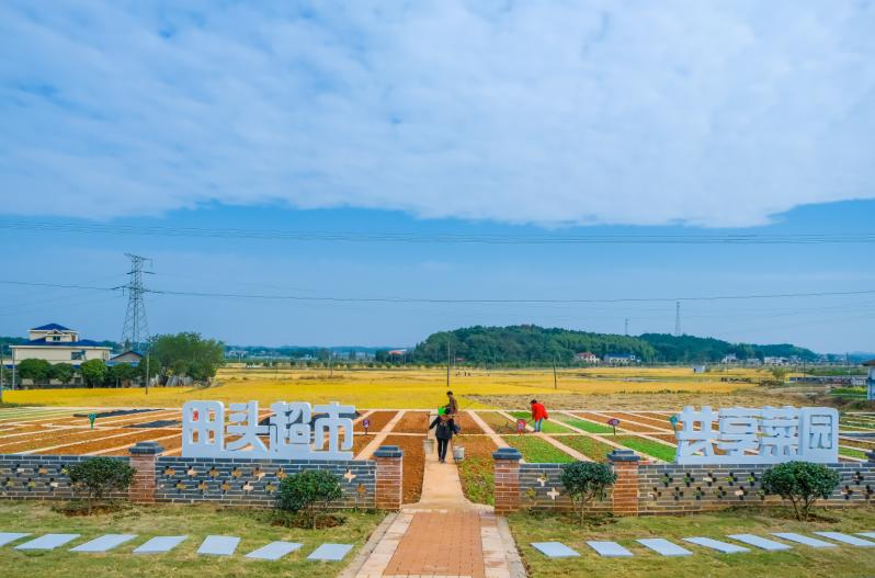 东月阳西黑琴_东月西阳_阳西东水风景区