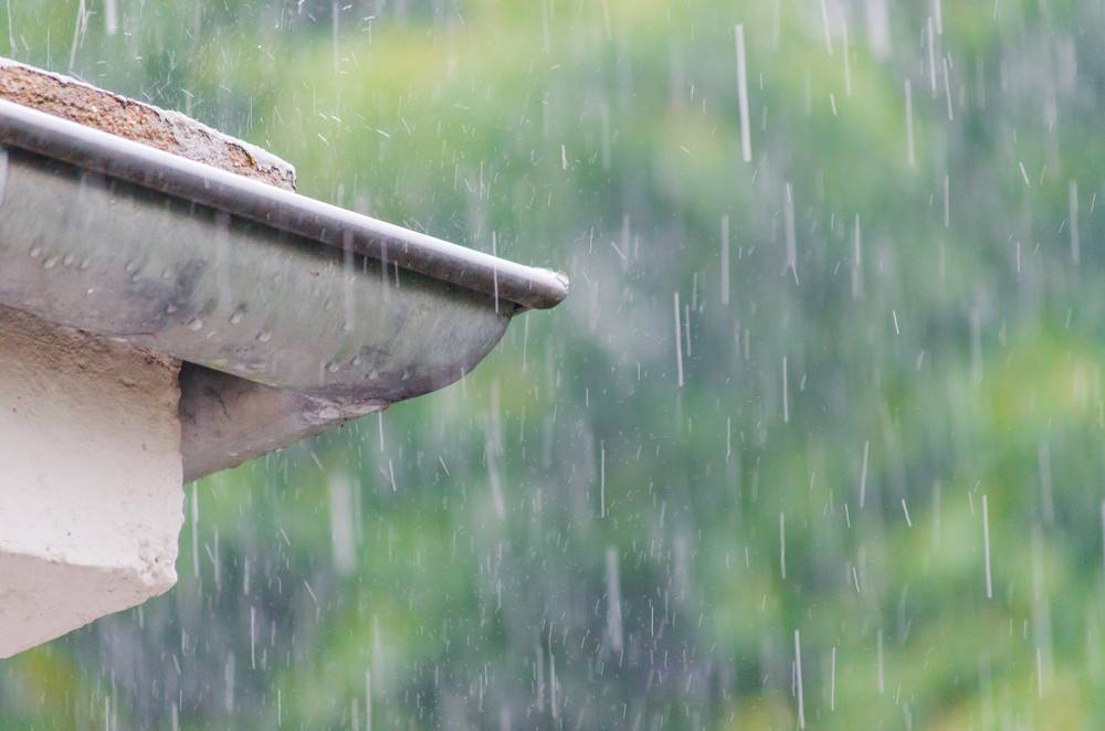 三月雨是什么意思_三月雨洛天依_三月雨