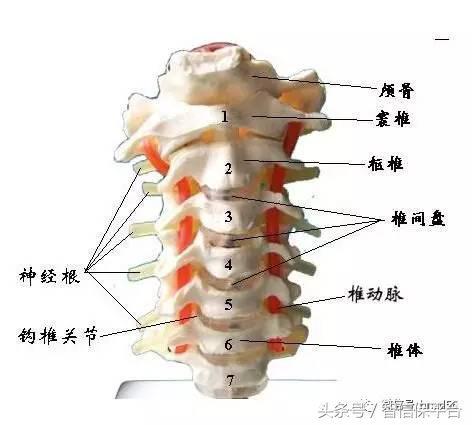 手机键盘玩游戏需要什么软件_手机键盘打游戏好用吗_用带键盘的手机打游戏好吗