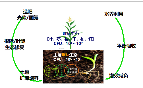 热门生存游戏手机_热门生存游戏手游_热门生存手机游戏推荐