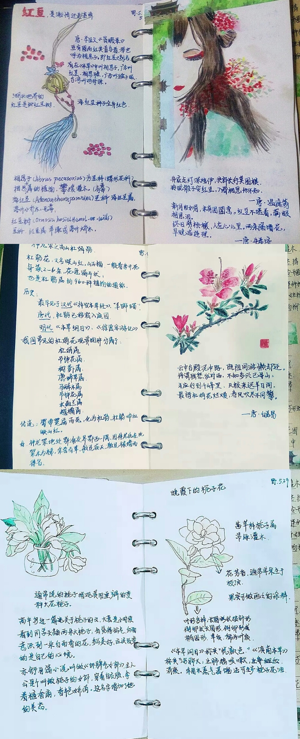 百度识别文字怎么用_百度ocr文字识别在线_百度文字识别ocr