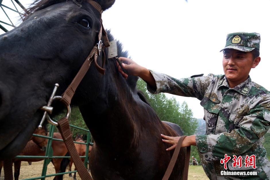 骑兵回旋的原理_骑兵回旋_完美的骑兵回旋