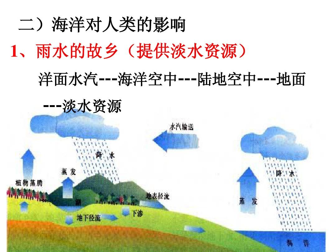 生态系统的三大功能_三大生态系统_生态系统作为一个整体